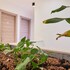 boutique garden rooms