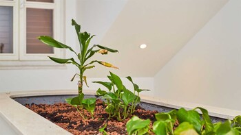 boutique garden rooms