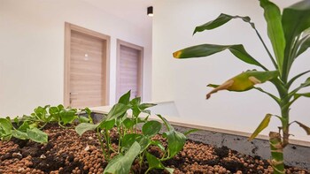 boutique garden rooms