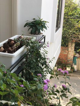 della luna hotel tam coc