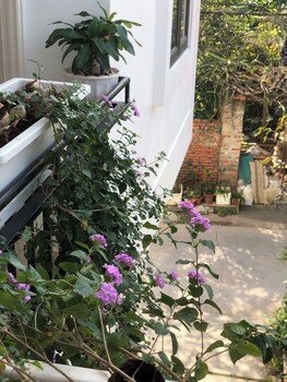 della luna hotel tam coc