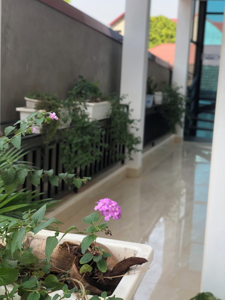 della luna hotel tam coc