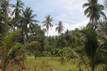 yangyai garden lodge