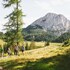 triforet alpinresort