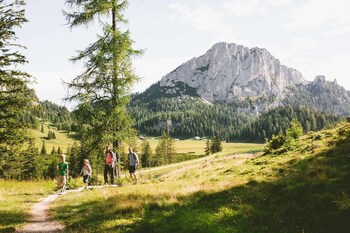 triforet alpinresort