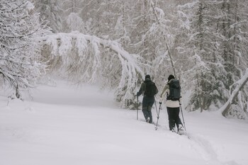 triforet alpinresort