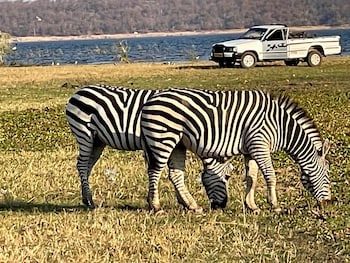 sunset lakeview lodge