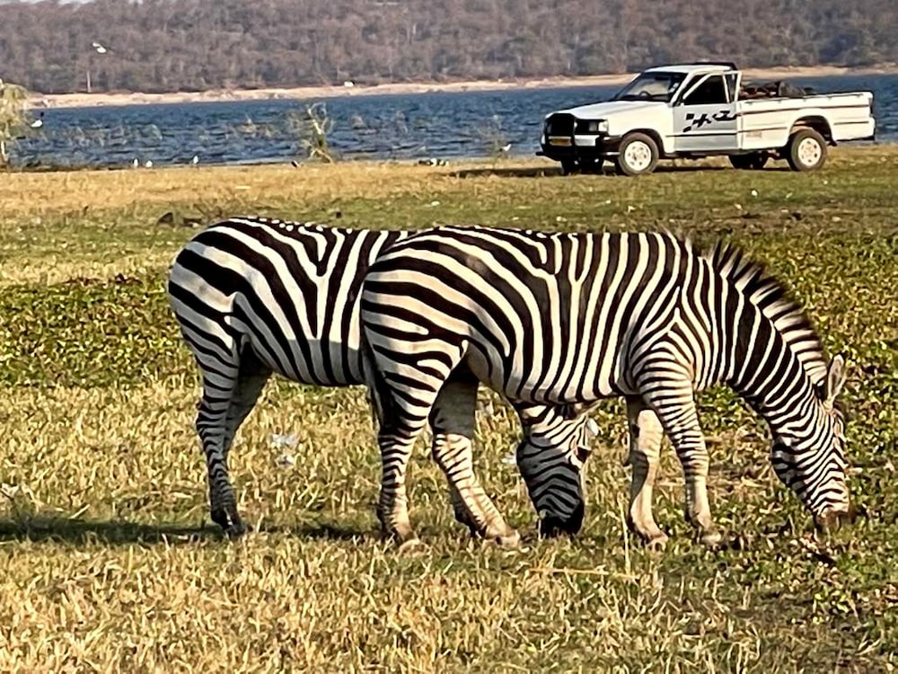 sunset lakeview lodge