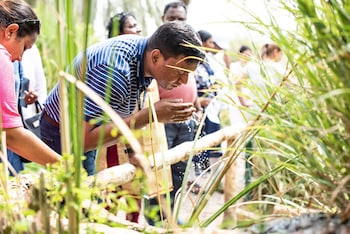 astoria galilee hotel