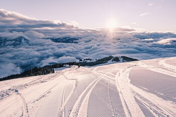 alpine city living top 33