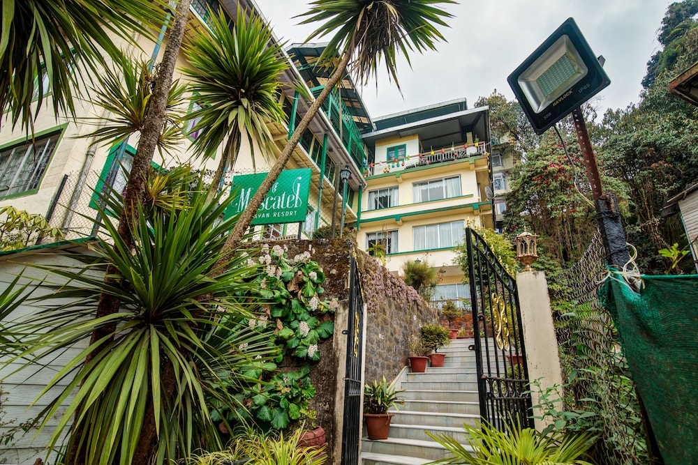 muscatel himalayan resort