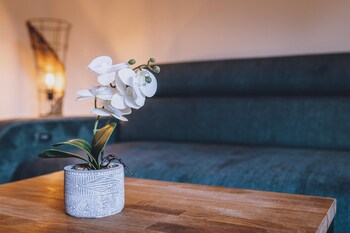 premium apartments areit penthouse