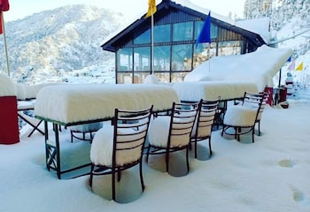 apple orchard resort