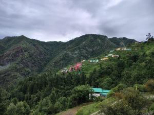 apple orchard resort