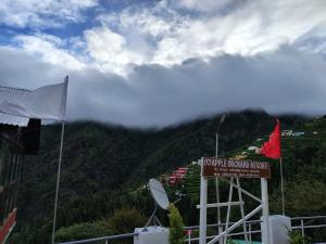 apple orchard resort