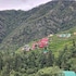 apple orchard resort