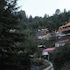 apple orchard resort