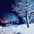 apple orchard resort