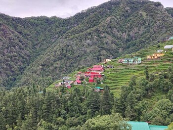 apple orchard resort