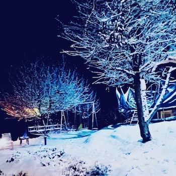 apple orchard resort