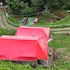apple orchard resort