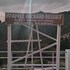apple orchard resort