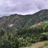 apple orchard resort