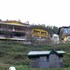 apple orchard resort