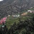 apple orchard resort