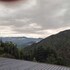 apple orchard resort
