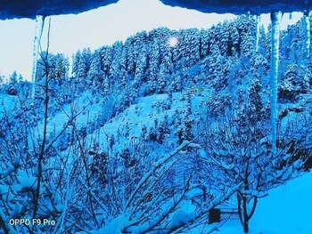 apple orchard resort