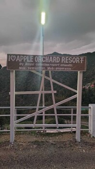 apple orchard resort