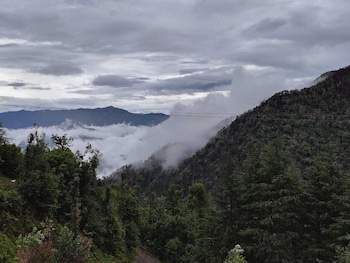 Apple Orchard Resort,Dhanaulti>>Dehradun,3 star