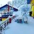 apple orchard resort
