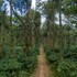 chikkamagaluru