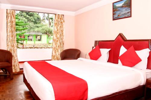 hotel sv international