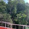 kodaikanal
