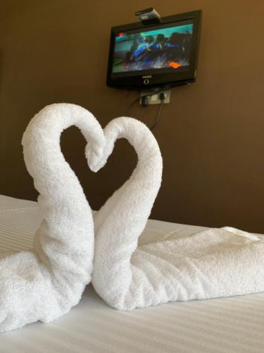 hotel jc grand kodaikanal