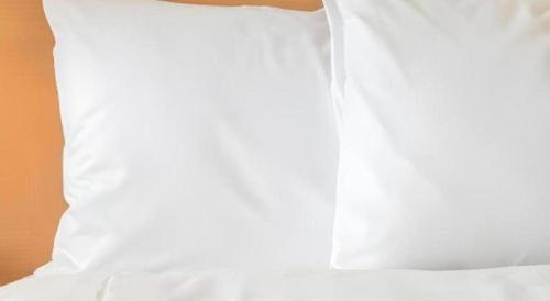holiday inn express hotel and suites lamar by ihg
