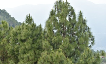 great view hotel and restaurant