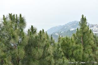 great view hotel and restaurant