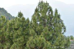 great view hotel and restaurant