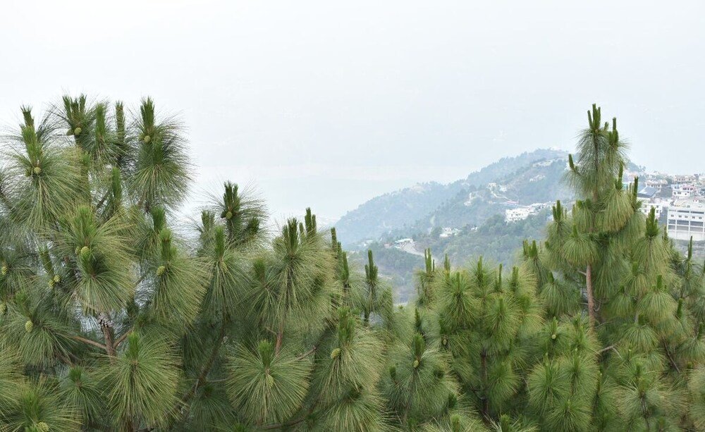 Great View Hotel And Restaurant,Tehri>>Mussoorie,2 star