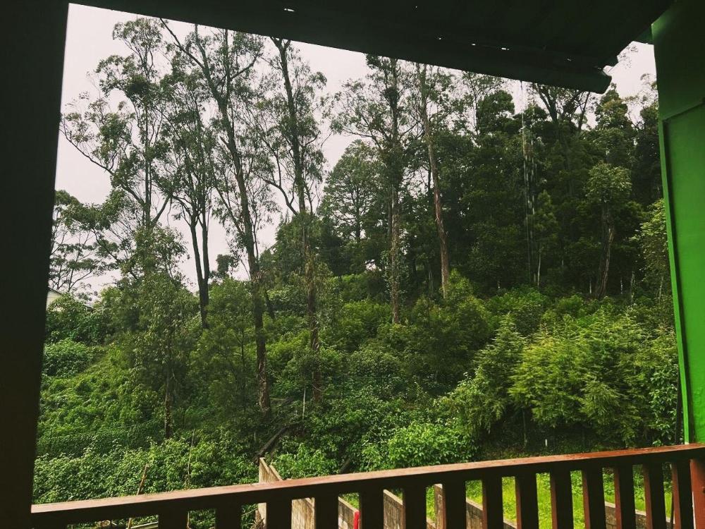 thalagala oya resort