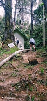 thalagala oya resort