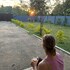 amba kola