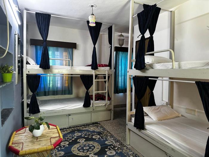 dreamyard udaipur hostel