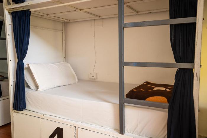 dreamyard udaipur hostel