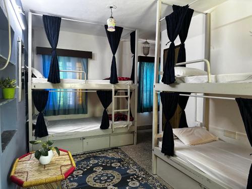 dreamyard udaipur hostel