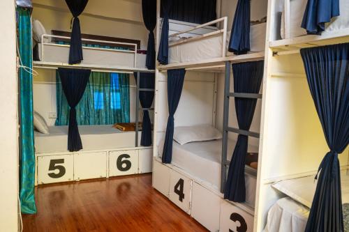 dreamyard udaipur hostel